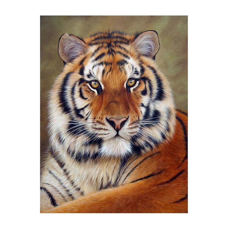 Tiger - Peinture diamant - 40x50cm