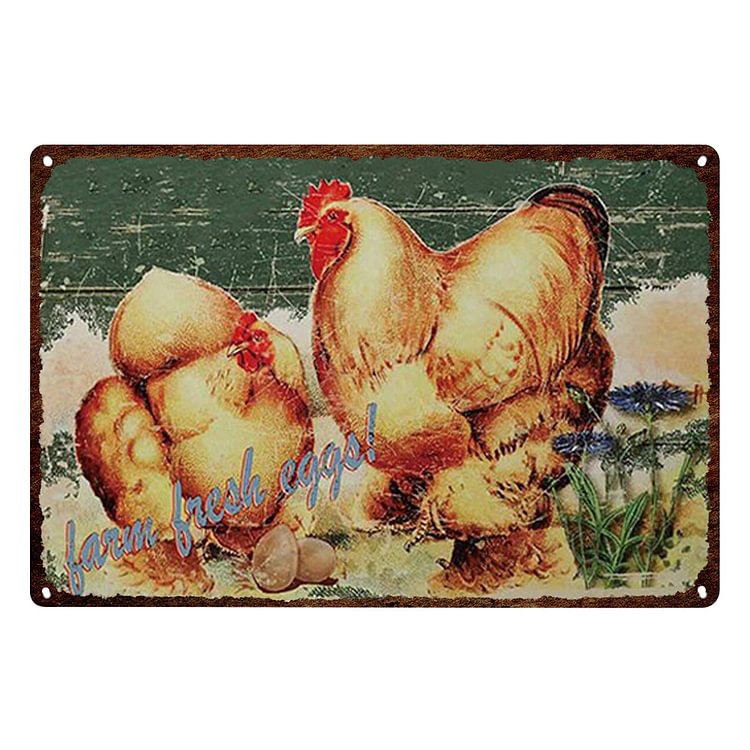 Chicken - Farm Fresh Eggs Vintage Tin Signs/Wooden Signs - 20x30cm & 30x40cm