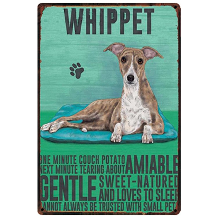 Whippet Dog - Vintage Tin Signs