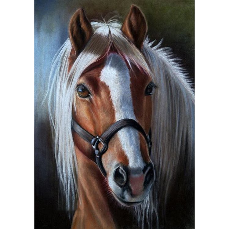 (Multi Size) Horse Round/Square Drill Diamond Painting