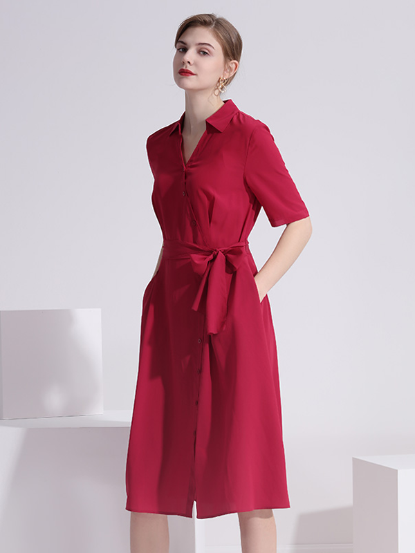 Silk Dress V-neck Solid Simple Style