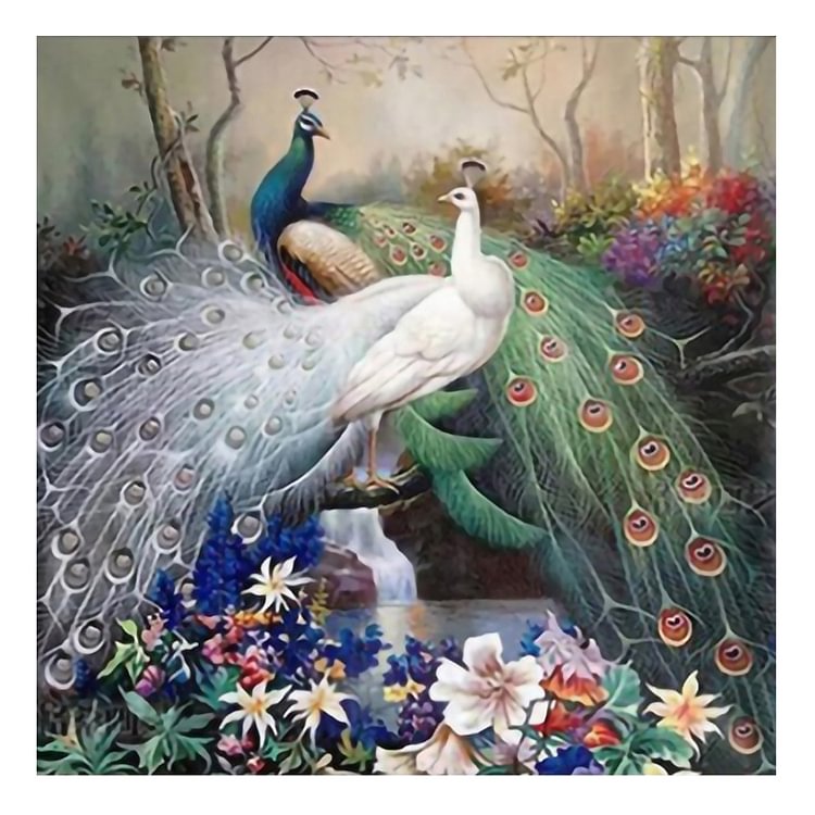 (Counted/Stamped)Peacock- 3 Strands Cross Stitch 46*46CM