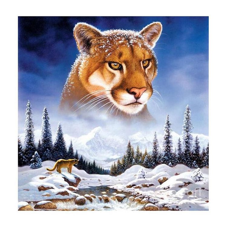 Snow Mountain Tiger - Full Round Drill Diamond Painting - 30x30cm(Canvas)