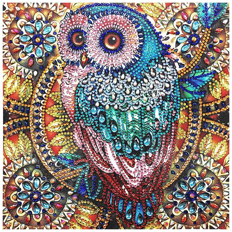 Owl - Special Shaped Diamond Painting - 30*30CM