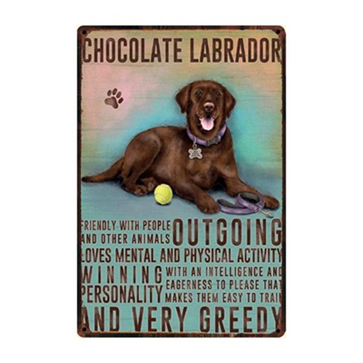 Chocolate Labrador Dog - Vintage Tin Signs