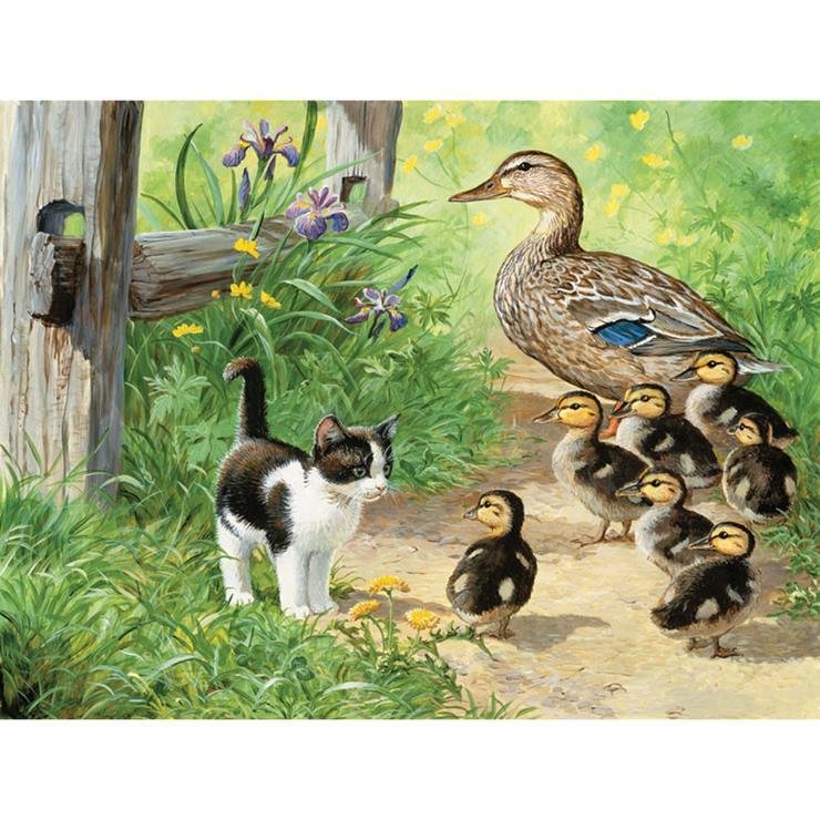 Full Round Diamond Painting Cat and Ducks (40*30cm)