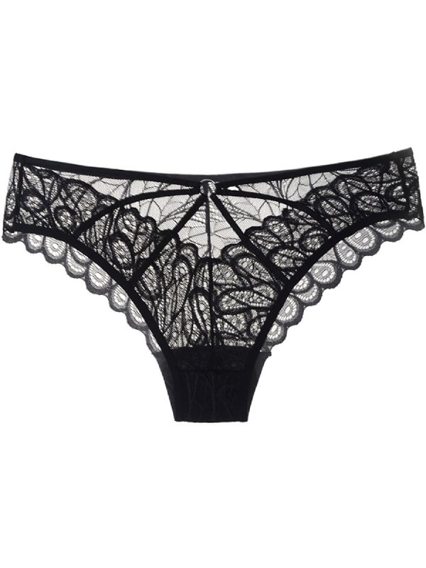 Transparent Lace Triangle Panty-Icossi