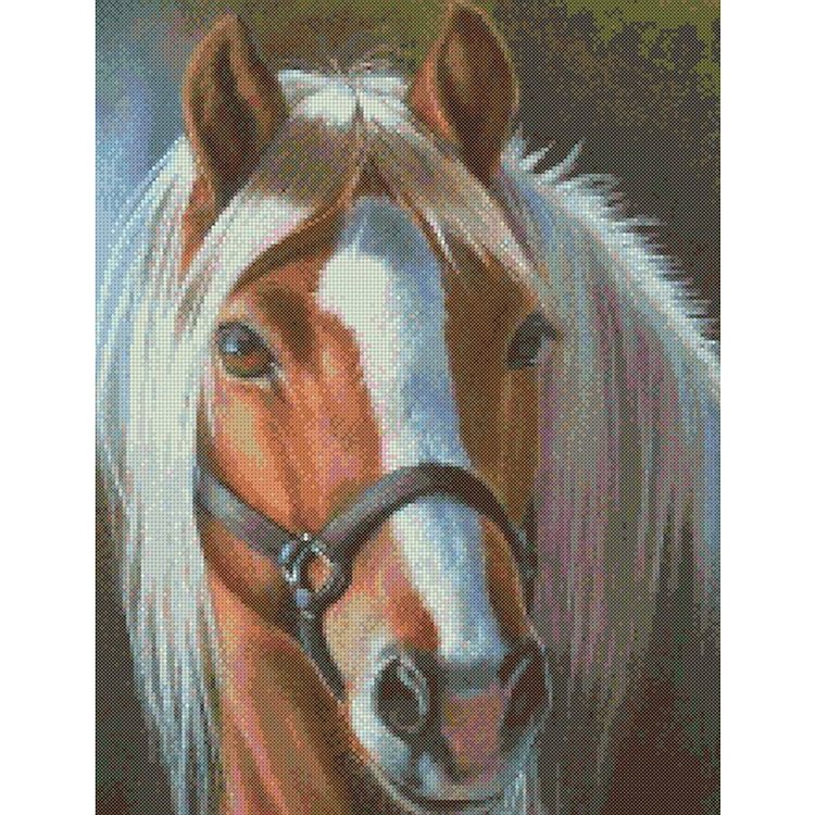 (Counted/Stamped)  Horse-Cross Stitch Ki