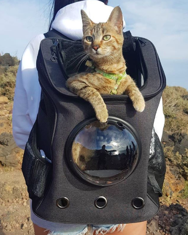 Cat Backpack - For Larger Cats - vzzhome