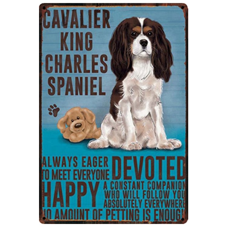 Cavalier Dog - Vintage Tin Signs