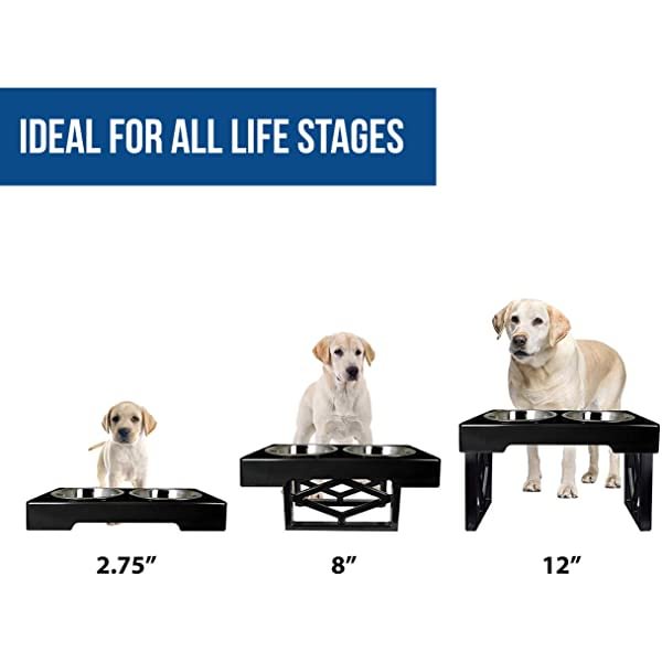 Pet Zone Designer Diner ADJUSTABLE Elevated Dog Bowls - Adjusts To 3 Heights, 2.75”, 8", & 12'' (Raised Dog Dish with Double Stainless Steel Bowls)