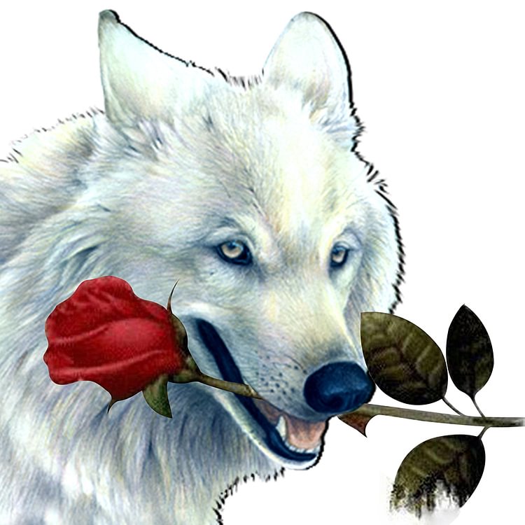White Wolfs - Special Shaped Diamond Painting - 25*25CM