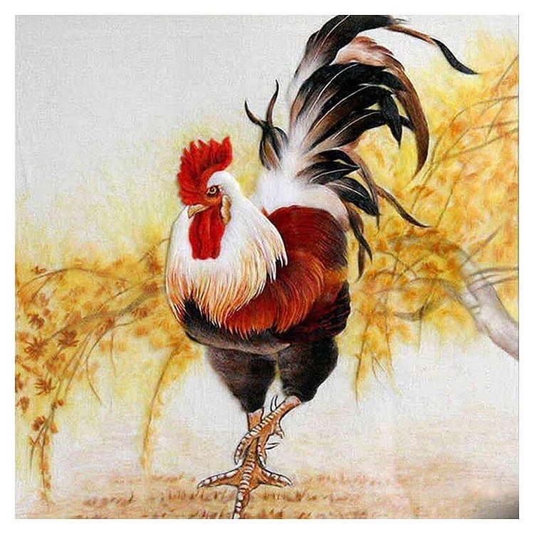 Chicken - Full Round Drill Diamond Painting - 30x30cm(Canvas)