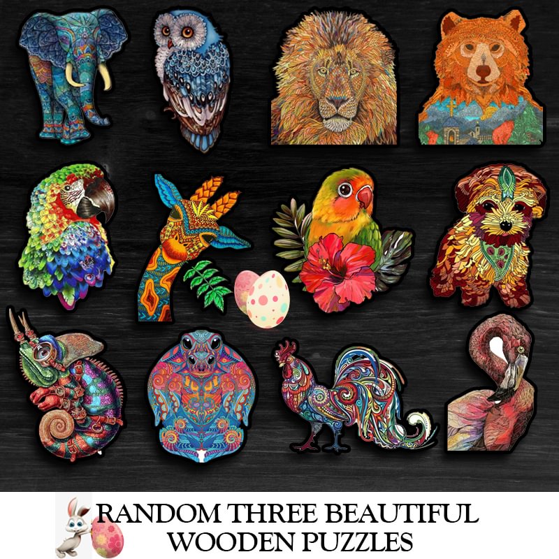 Random three beautiful wooden puzzles（10 USD discount）-Ainnpuzzle