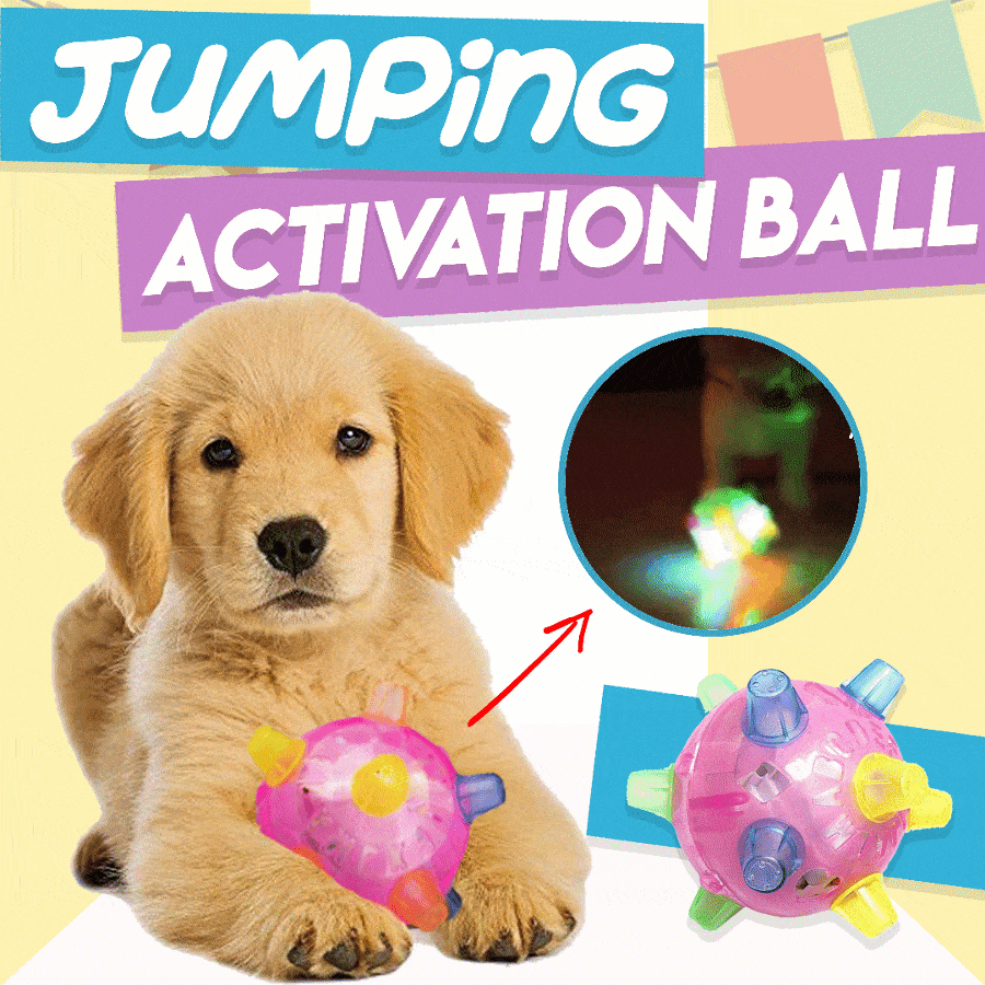 Jumping Activation Ball for Dogs | Buy 2 Get 1 Free