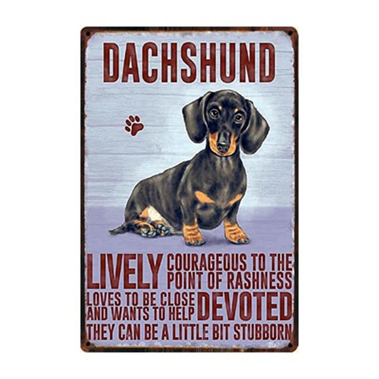 Dachshund Dog - Vintage Tin Signs