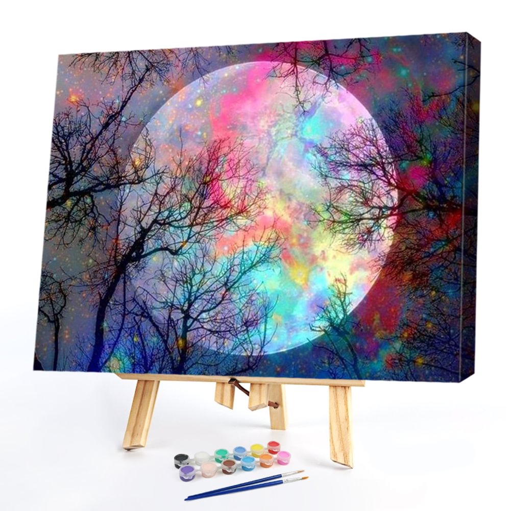Painting by Numbers 40 x 50 cm complete set more than 300 designs in shop for selection 