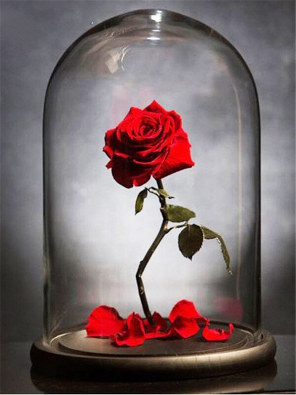 Red Rose Flower- Vintage Tin Signs - 20*30CM
