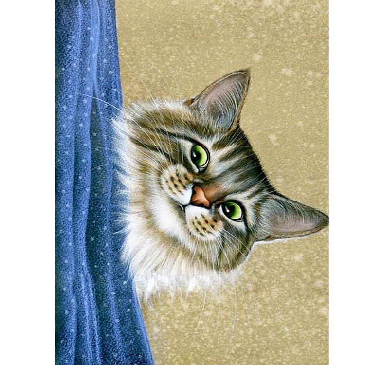 Cat - Full Round Drill Diamond Painting - 30x40cm(Canvas)