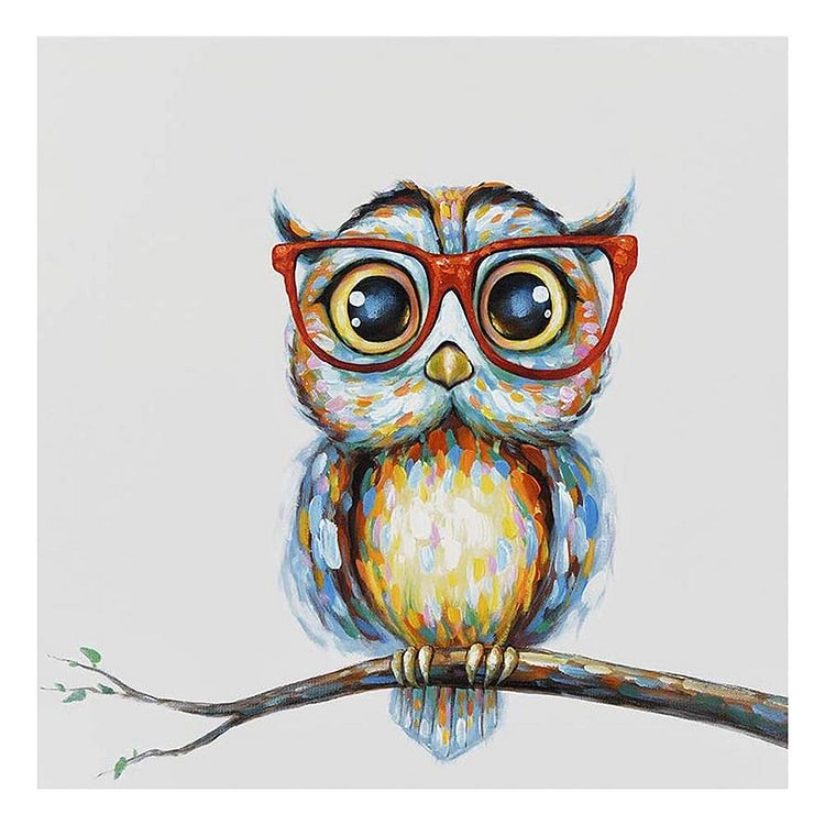 Glasses Owl - Full Round Drill Diamond Painting - 30x30cm(Canvas)