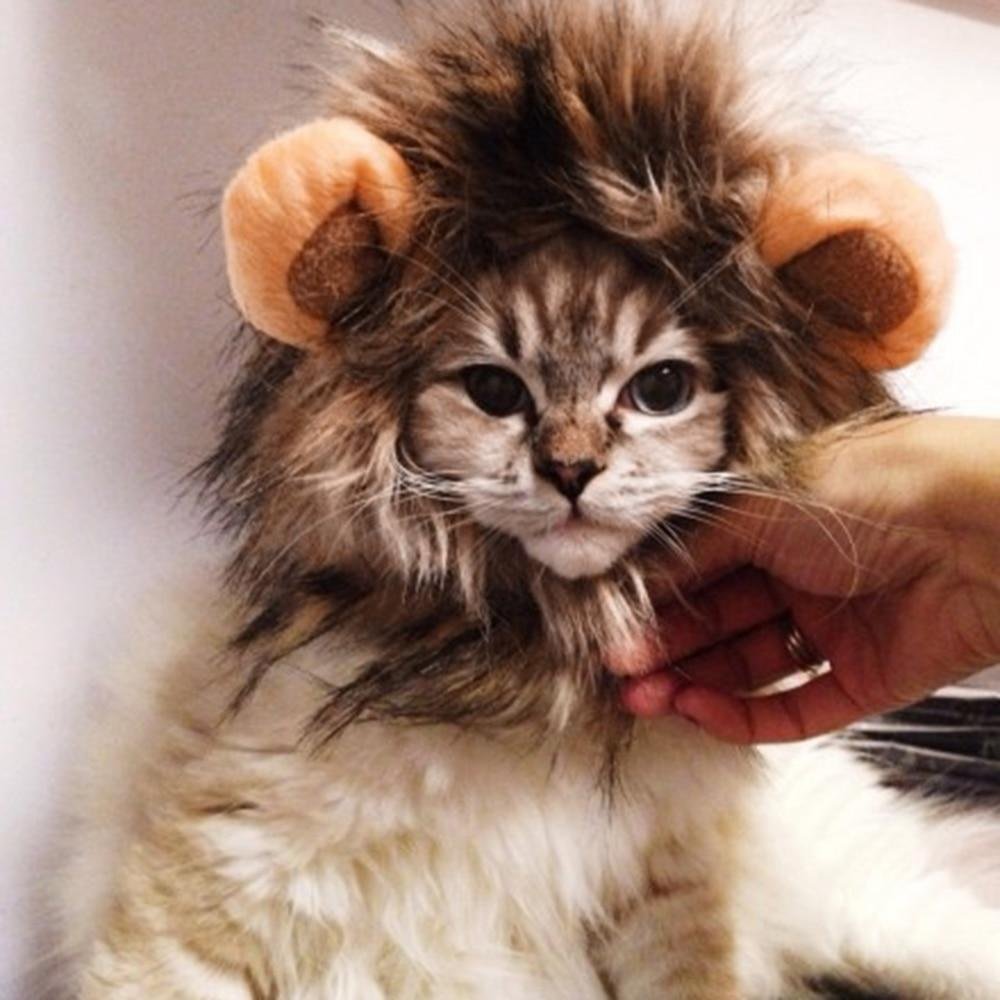 Pet Lion Mane Wig Cap - Arlopo