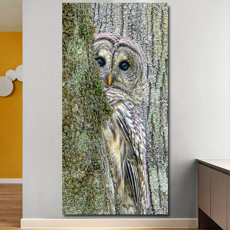 Owl Peek a Boo Canvas Wall Art