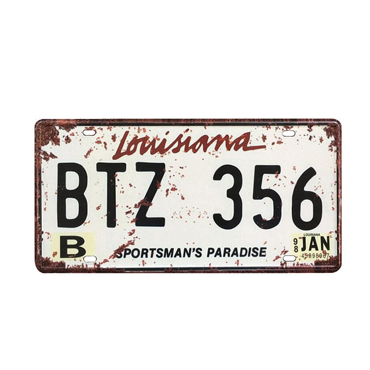 BTZ 356 - Car Plate License - 30x15cm
