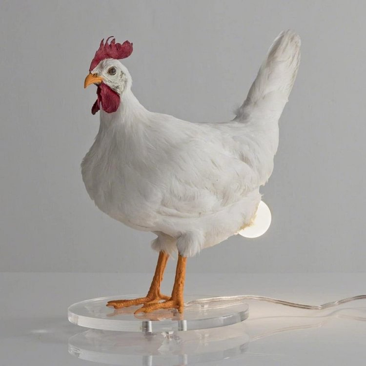 Taxidermy Chicken Egg Lamp - Sean - Codlins