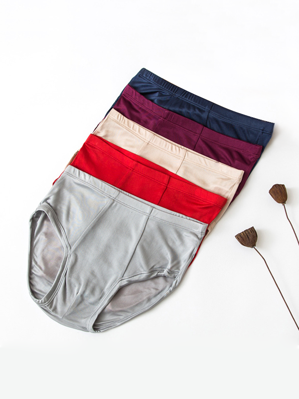 Men's Silk Briefs Breathable Thin Underwear 5-Pack