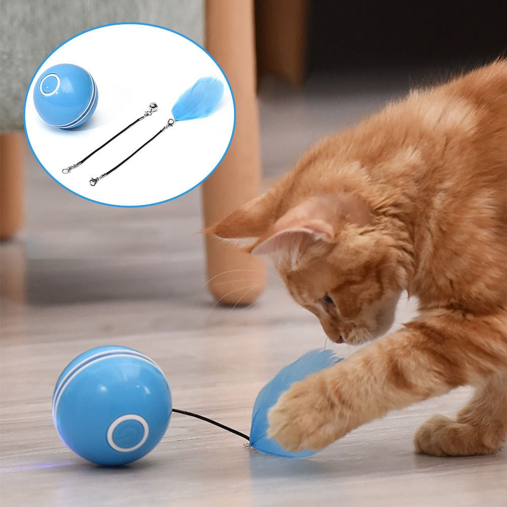 Colorful LED Laser Funny Cat Ball - vzzhome