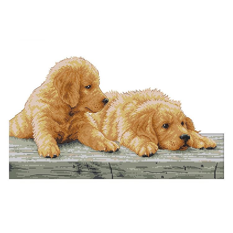 Two Brothers - 14CT Stamped Cross Stitch - 44*30cm