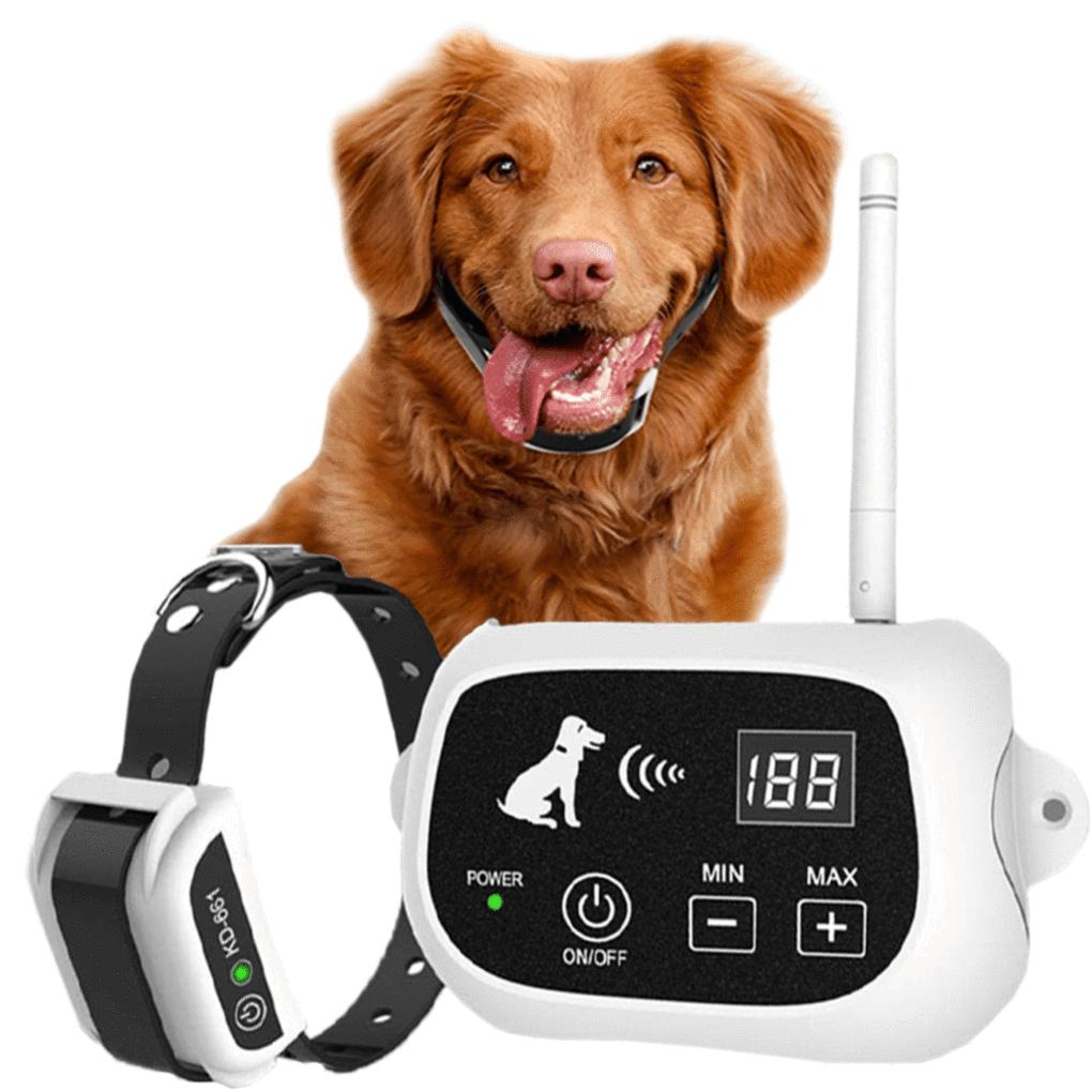 radio frequency dog collar