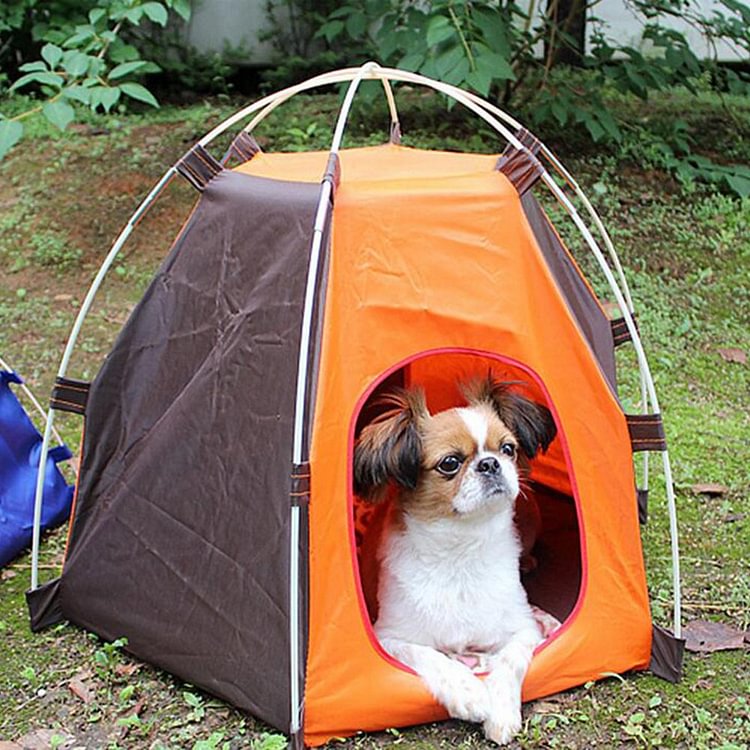 Pet Nest Puppy Outdoor Sunscreen Tent for Dog Cat Camping Trail Hiking - tree - Codlins