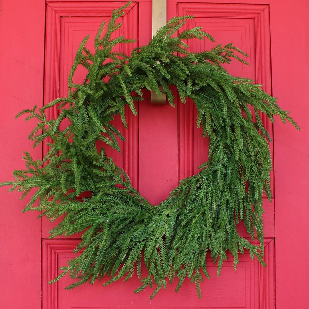Norfolk Pine Winter Christmas Wreaths For Front Door