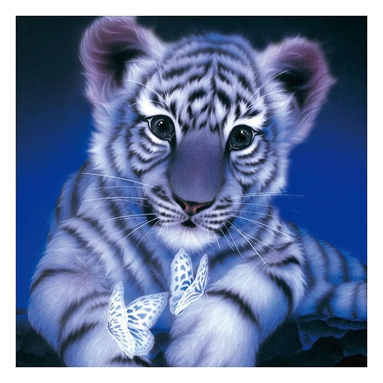 Tiger - Full Square Drill Diamond Painting - 30x30cm(Canvas)