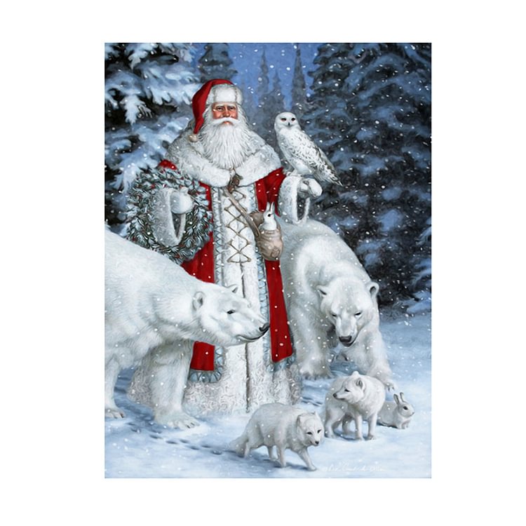 Christmas Santa Claus Animal Snow Scene 5D Diamond DIY Painting Craft Kit-gbfke