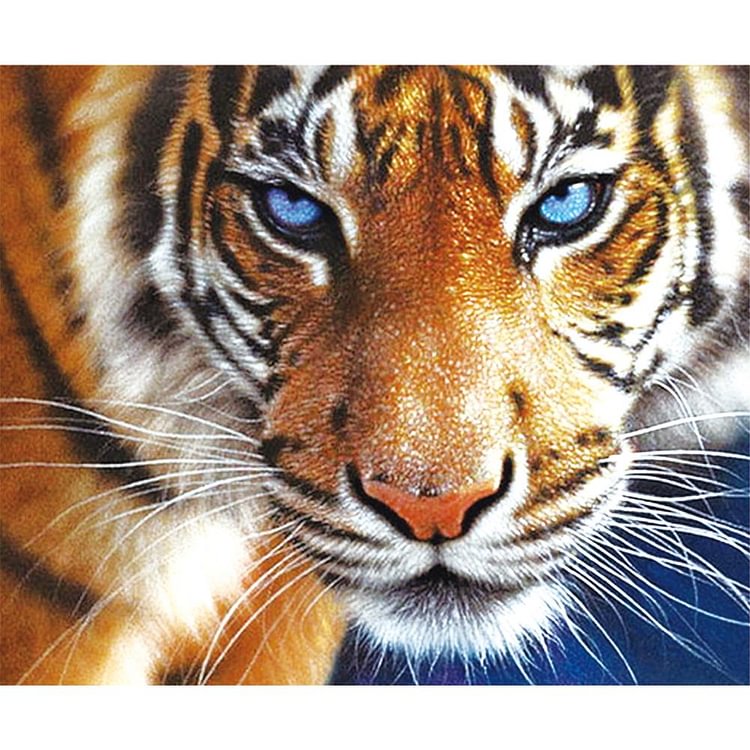 Tiger Drill Diamond Painting 35X30CM(Canvas)-gbfke