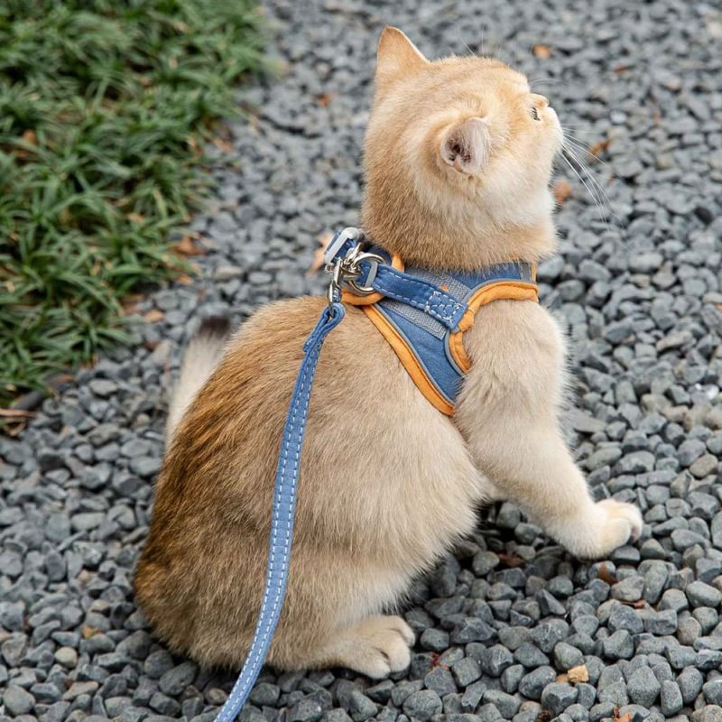 Cat Harness Leash Set Leashes Walking Tools for Small Pet-VESSFUL