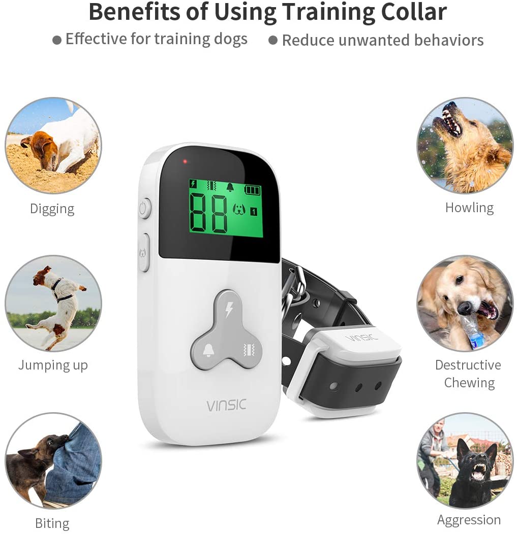 vinsic shock collar