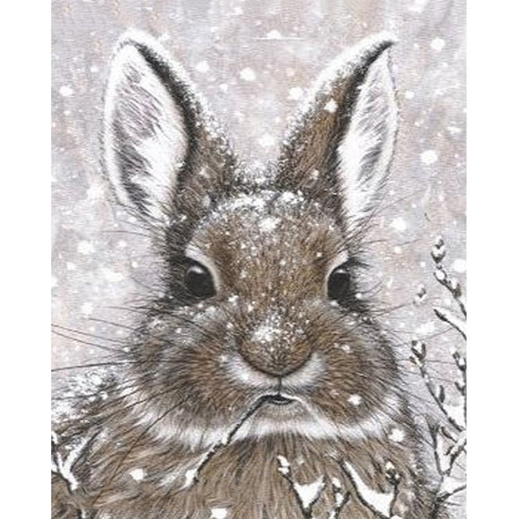 Snow Rabbit - Round Drill Diamond Painting - 30*40CM