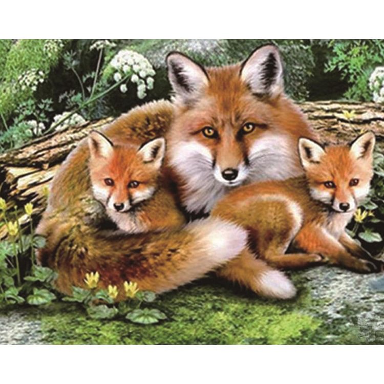 Wolf Mother Love Family - Partial Round Drill Diamond Painting - 25x30cm(Canvas)
