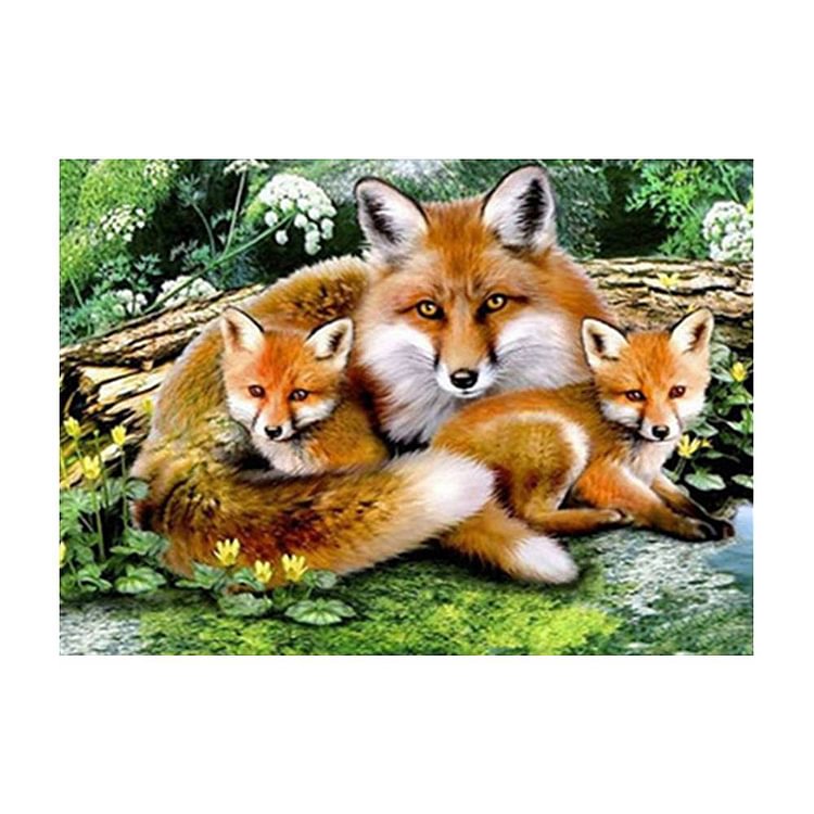 Famille Fox - Diamant rond partiel - 40x30cm