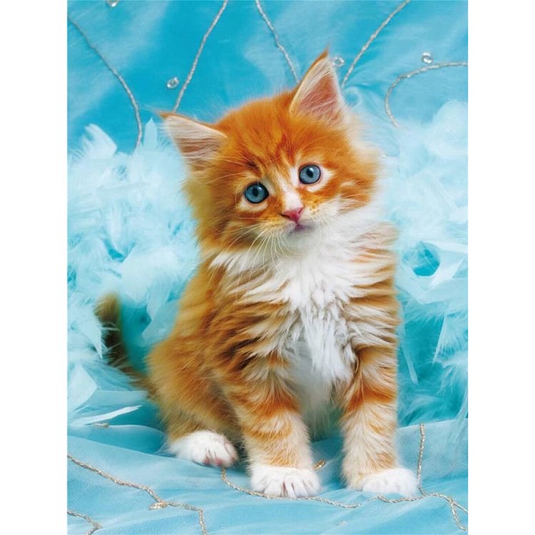 Kitten - Full Round Drill Diamond Painting - 30x40cm(Canvas)