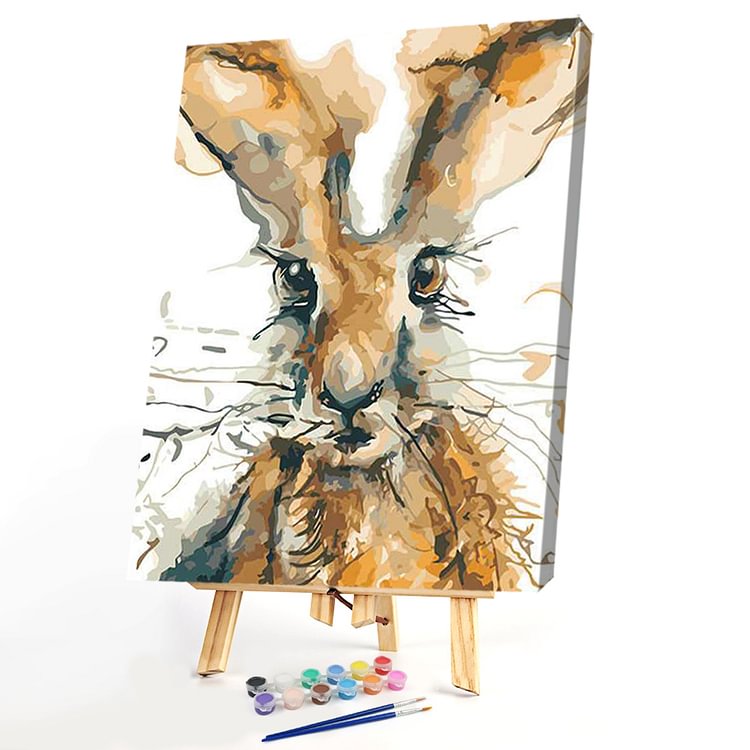 40x50cm - Paint By Numbers Rabbit Gift