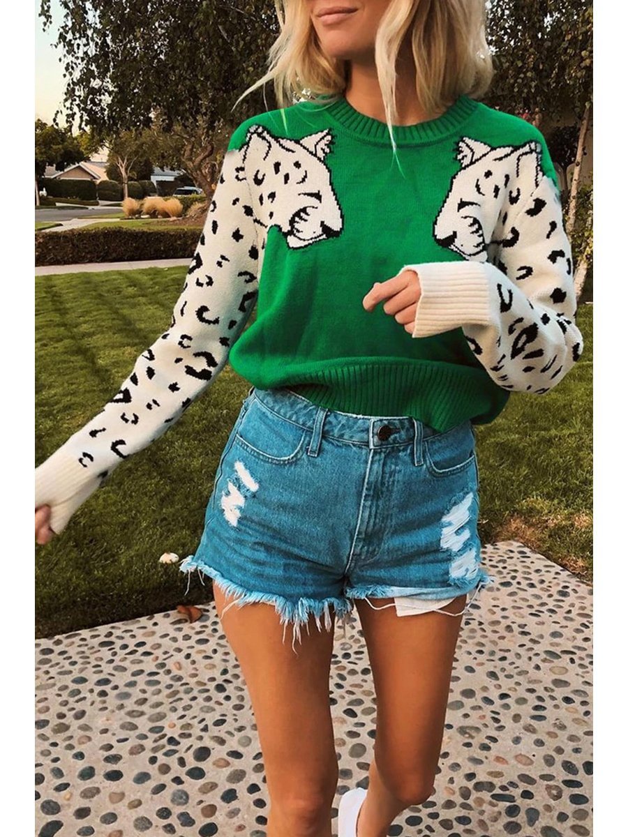 Casual Animal Print Sweater (6 Colors) P10454