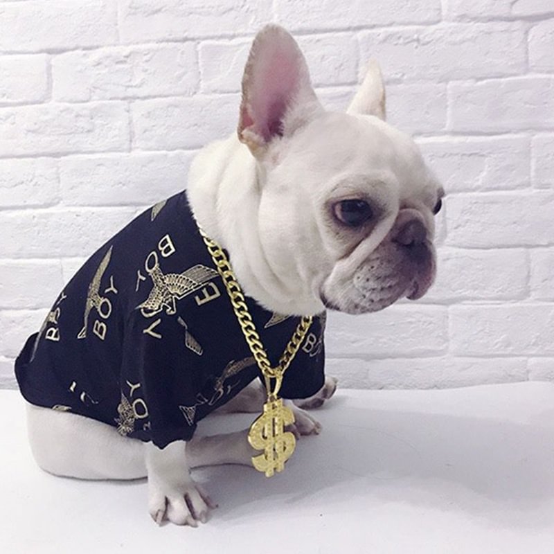 Gold Dollars Chain Pet Dog Necklace-VESSFUL