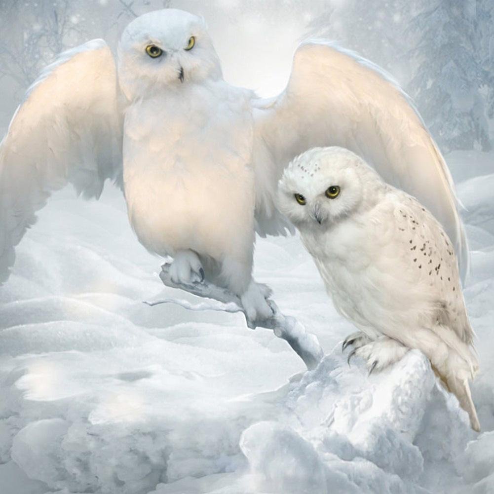 Peinture de diamant - plein rond - oiseaux blancs de neige