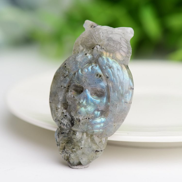 2.1" Labradorite Owl with Skull Dec Crystal Carving Bulk Crystal Wholesale Suppliers