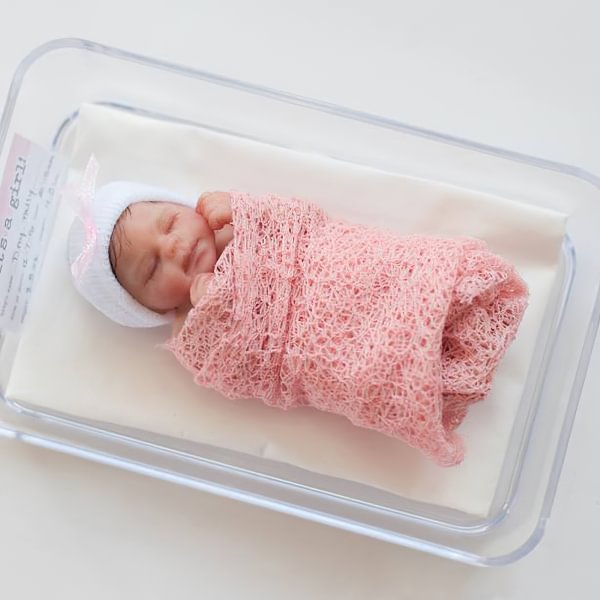 Miniature Doll Sleeping Full Body Silicone Reborn Baby Doll, 5 Inches Realistic Newborn Baby Doll Named Aubree