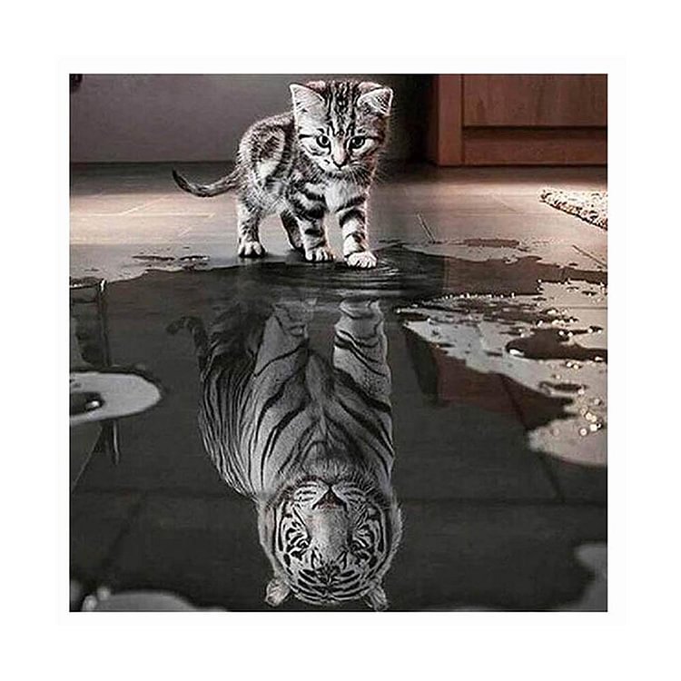 Cat Tiger - Diamant rond partiel - 30x30cm